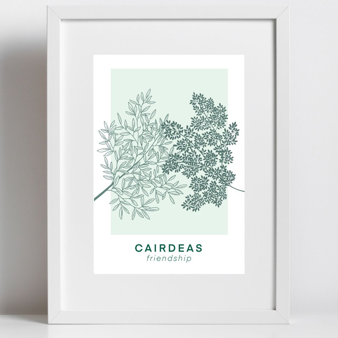 Cairdeas - Friendship