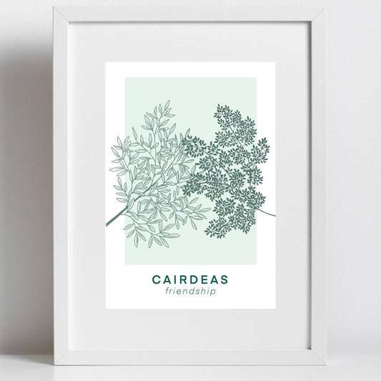 Cairdeas - Friendship
