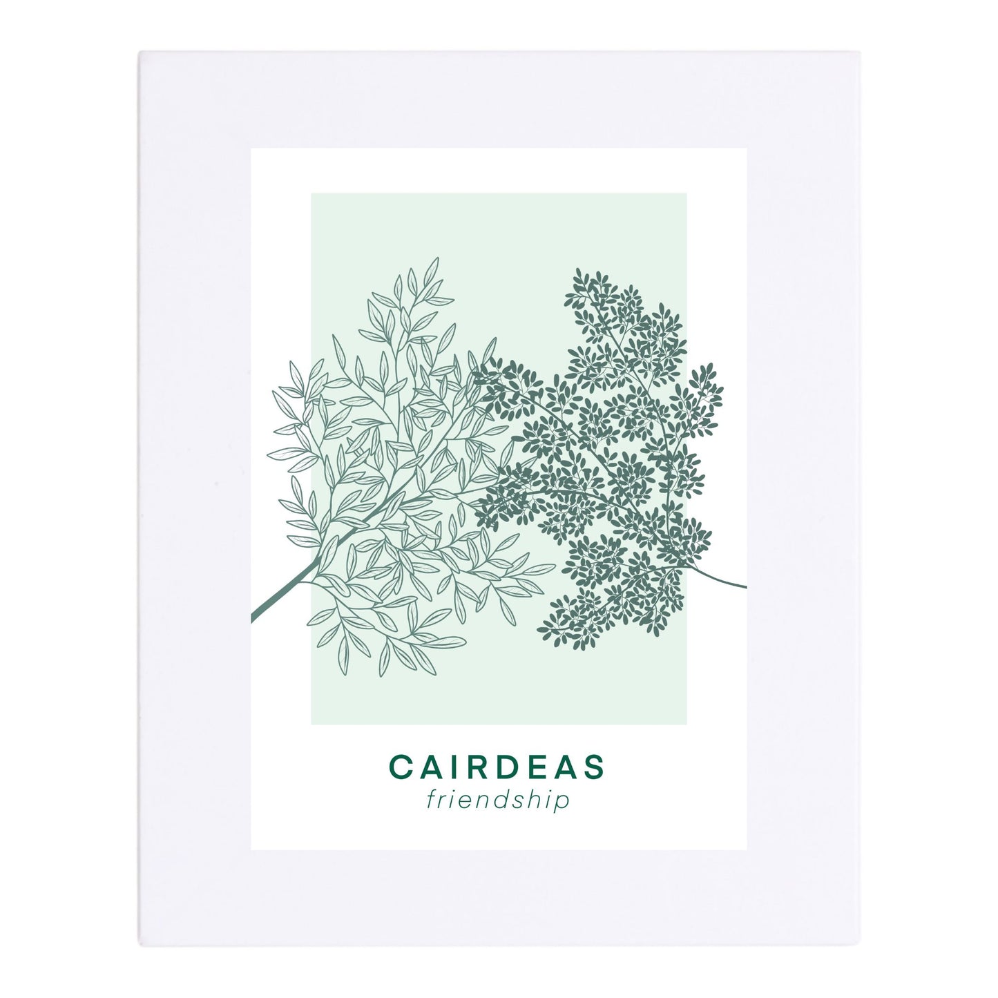 Cairdeas - Friendship