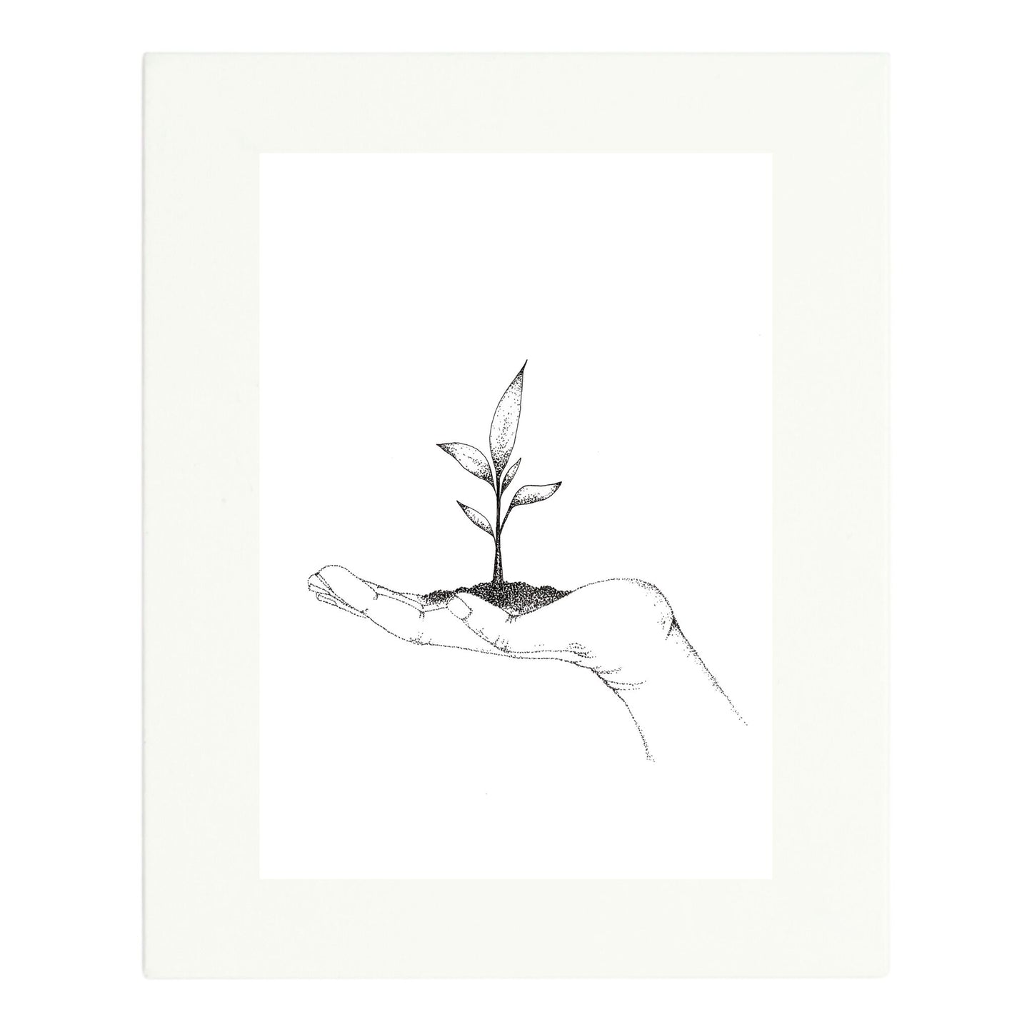 Seedling