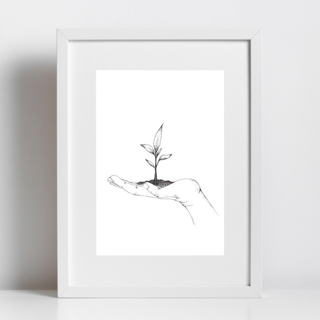 Seedling