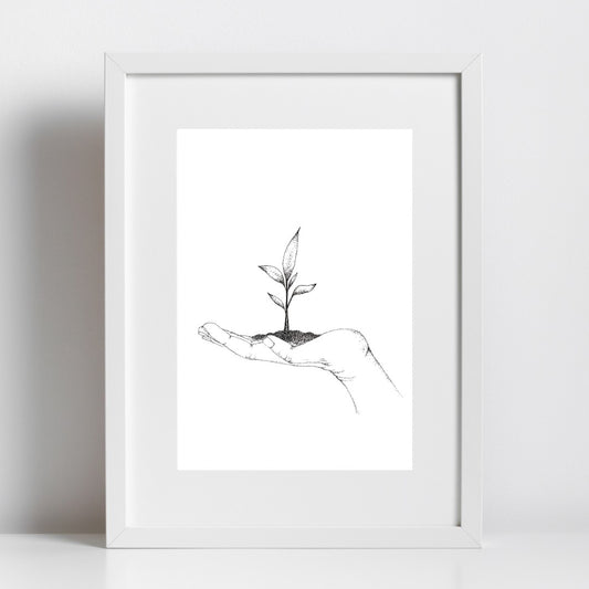 Seedling