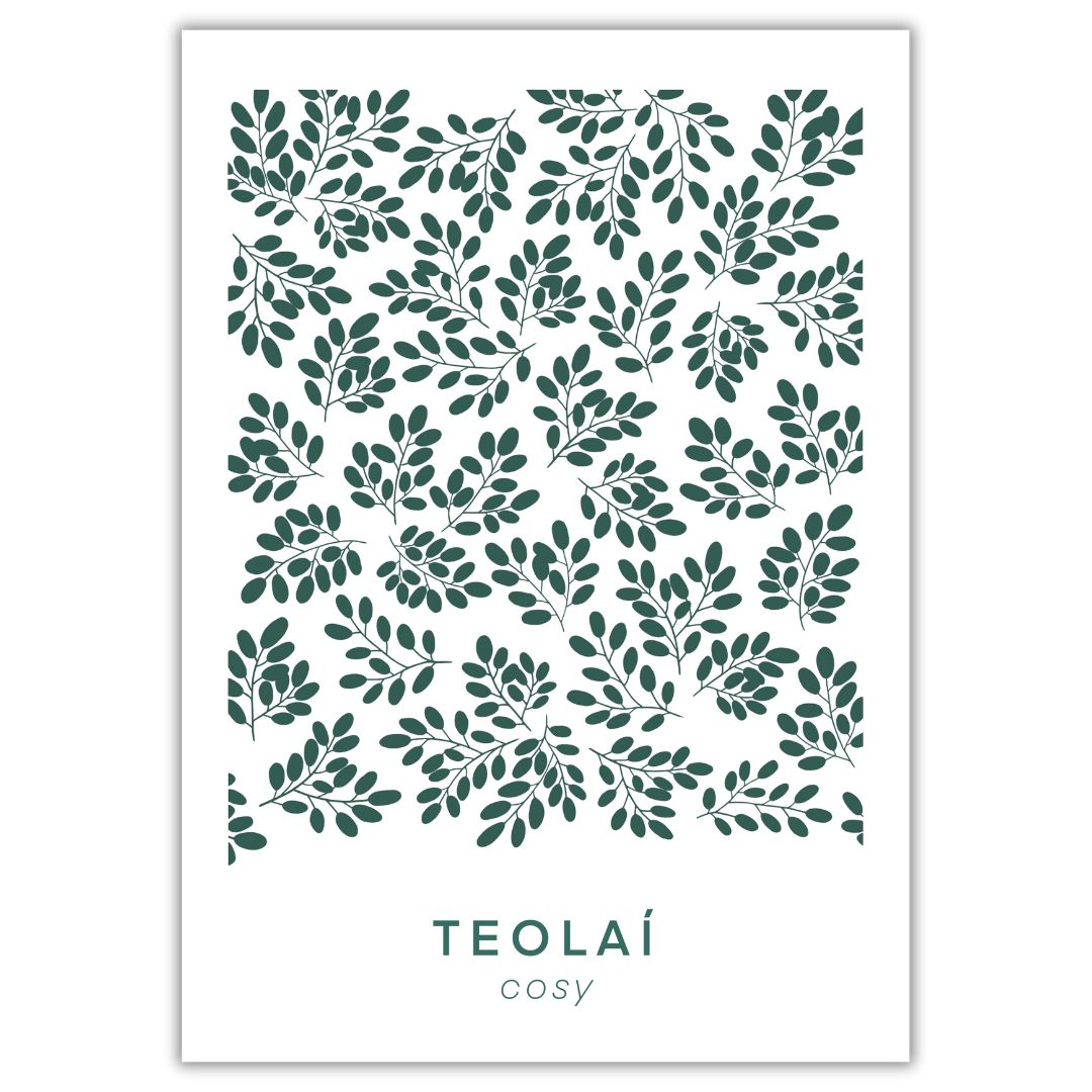 Teolaí, cosy Una Heaney Designs