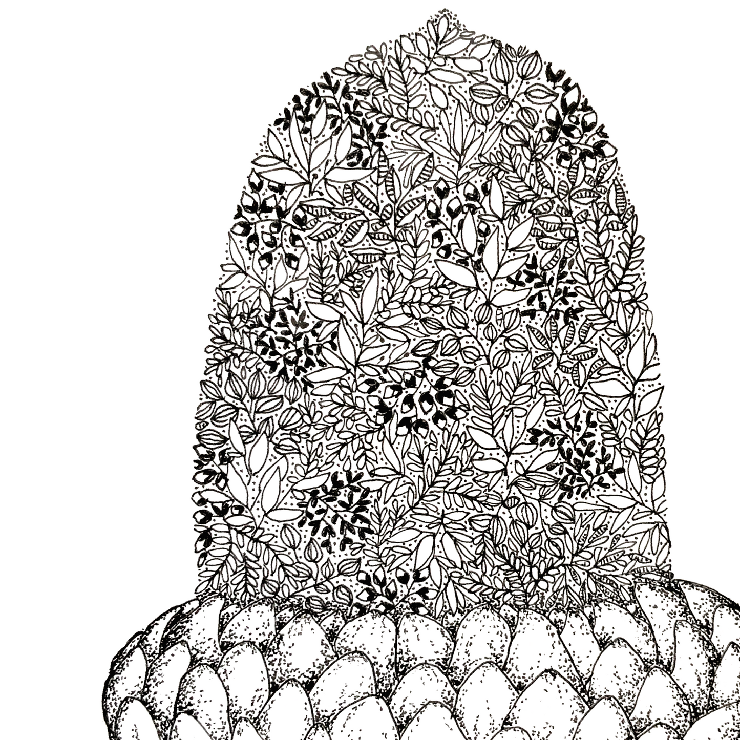 Image shows a closeup of an illustrated art print of an Acorn, made up of black and white leafy, floral and botanical details. The bottom of the acorn is made entirely of dots. The illustration is all done in black pen and the background is white. The closeup shows the intricate detail of the illustration.
