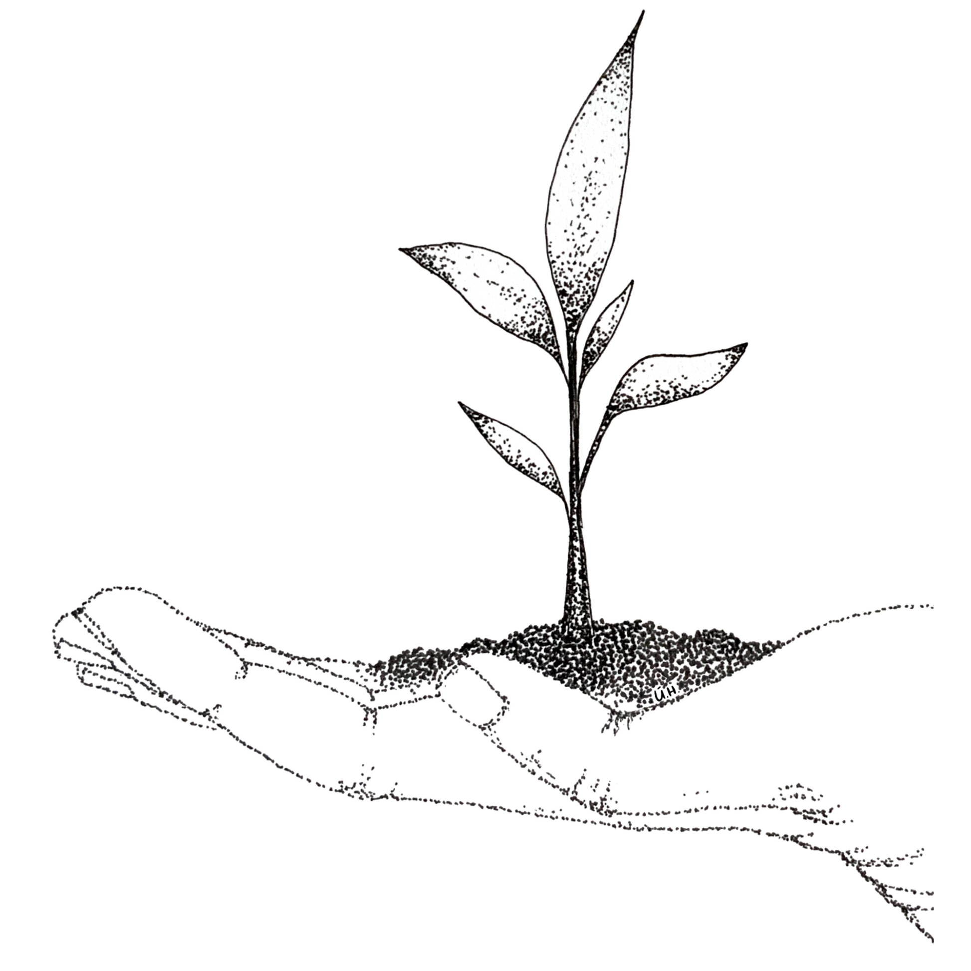Image shows illustration of a hand a baby sapling. Image is made entirely of tiny black dots. image is shown in a close up view to display the detailed drawing.