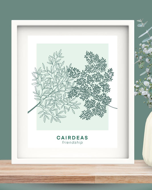 Cairdeas - Friendship