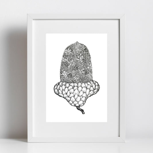 Acorn
