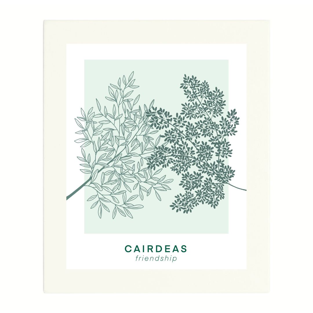 Cairdeas - Friendship Una Heaney Designs