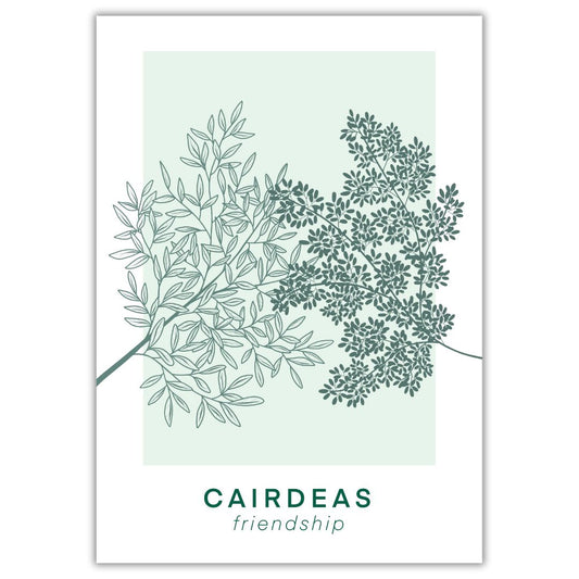 Cairdeas - Friendship Una Heaney Designs
