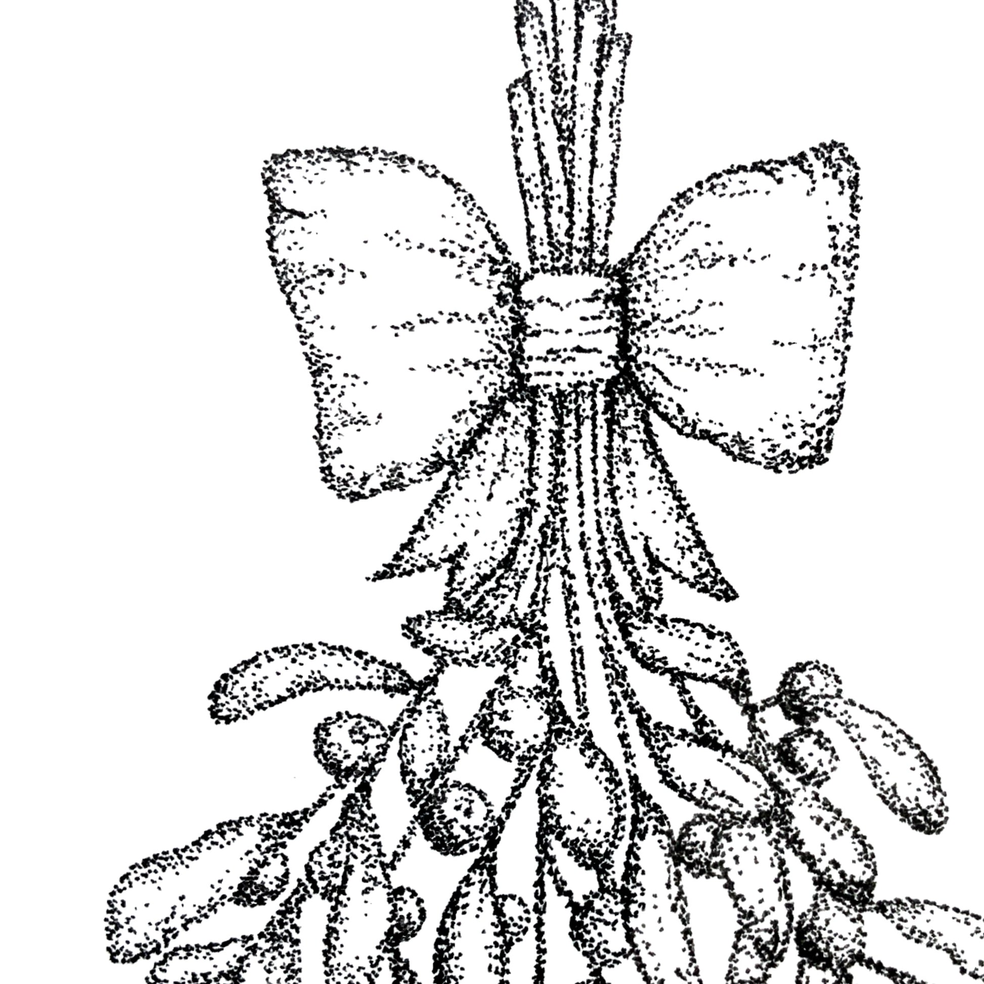 Image shows Mistletoe illustration drawn from dozens of different sized dots. Illustration has a bow wrapped around the mistletoe. Image is shown in a close up shot to show the great detail in the dot art that the illustration is made up of. 