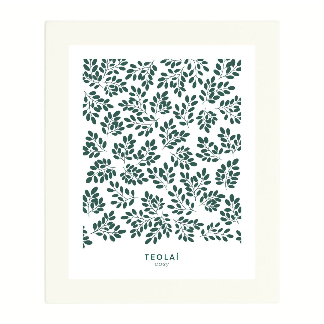 Teolaí, cosy Una Heaney Designs