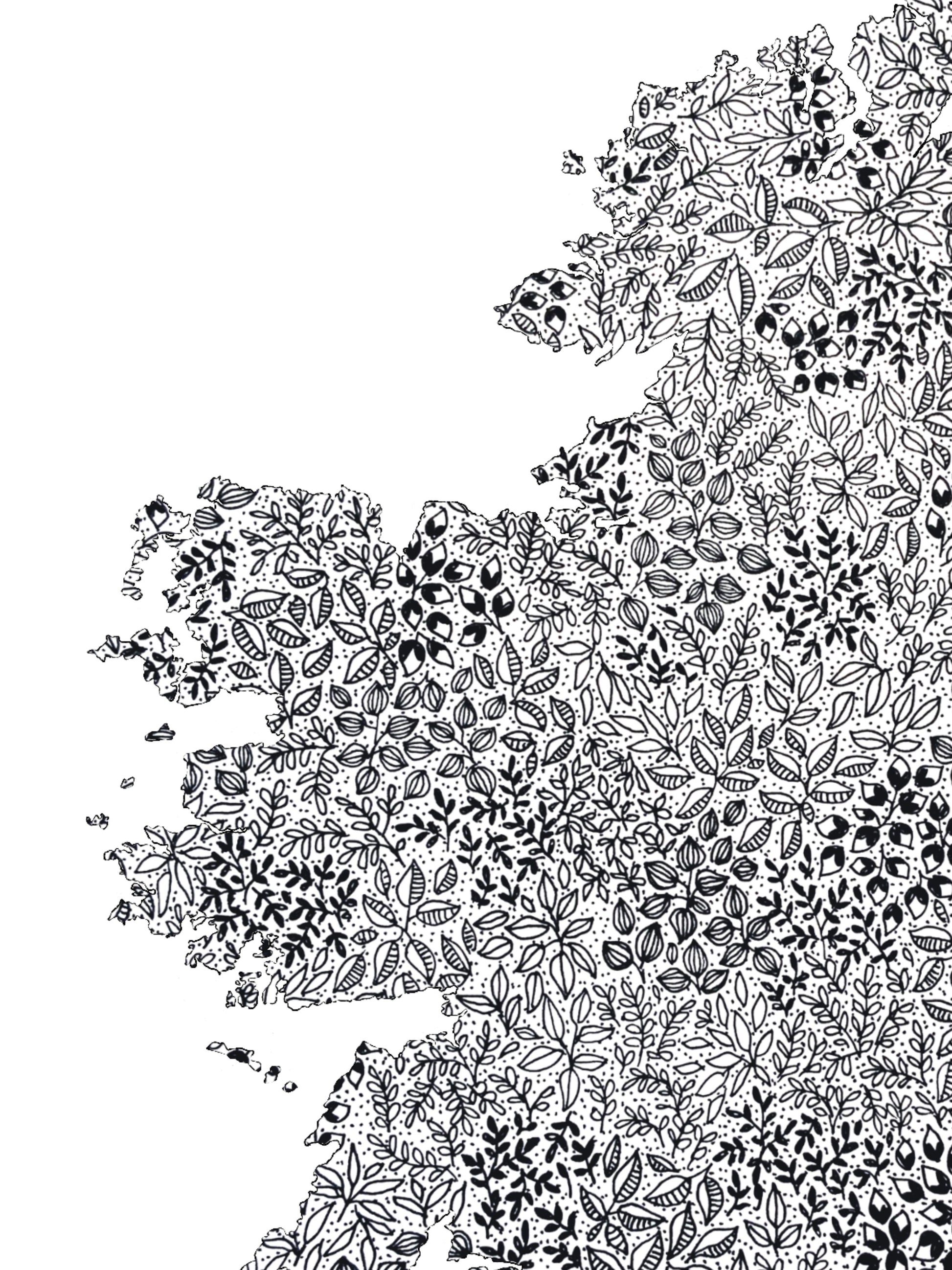 image shows close up illustration of the map of Ireland. Detailed floral drawings to be seen all black and white with great shadowing. 