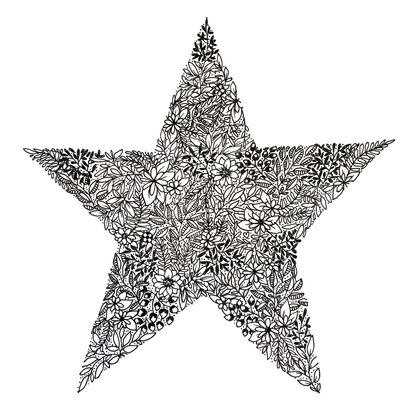 Image shows a star made from floral drawings. Image is entirely black and white and has dozens of different flowers leaves etc to make up this drawing. image is shown with a plain white background. 