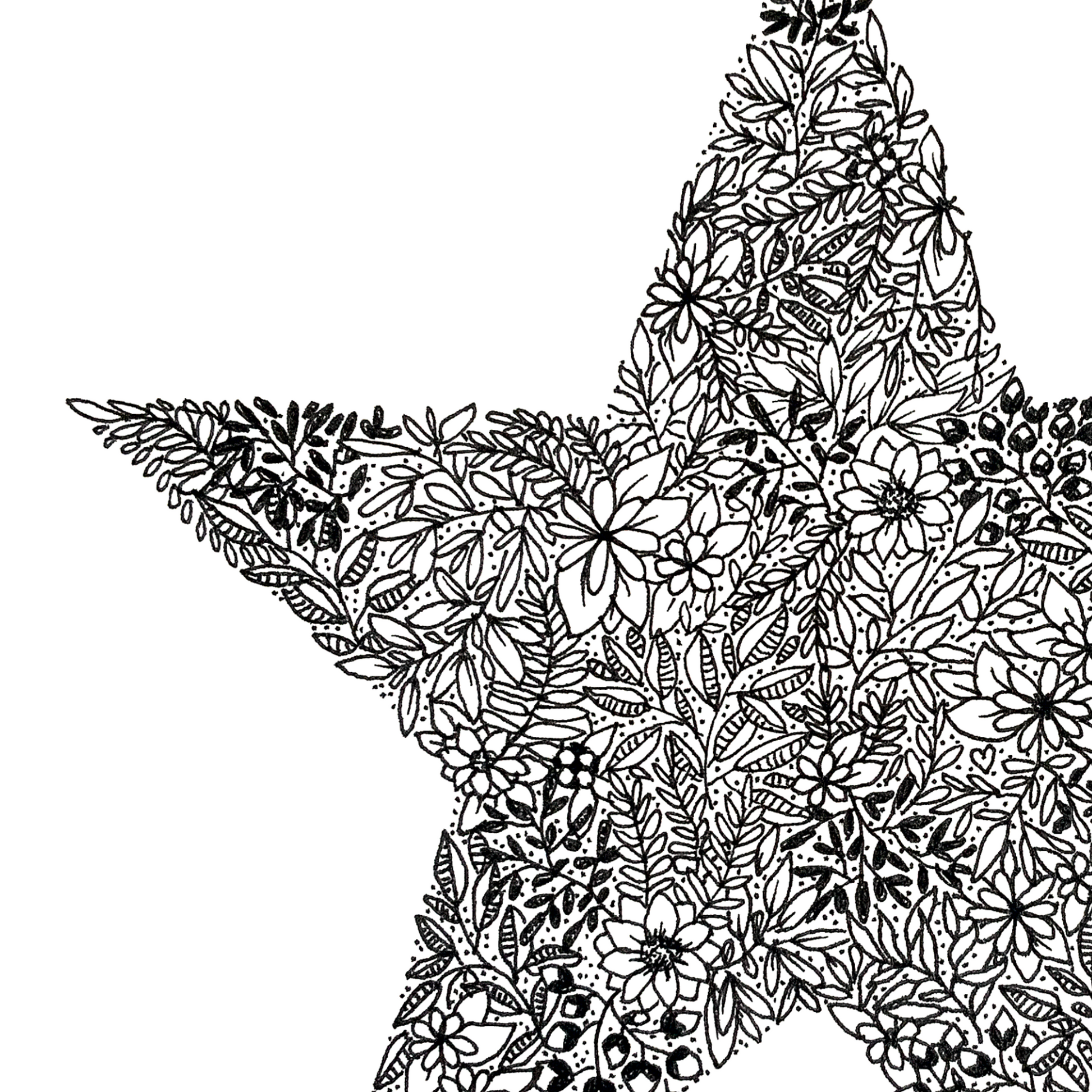 Image shows a star made from floral drawings. Image is entirely black and white and has dozens of different flowers leaves etc to make up this drawing. Image is shown in a close up view to show the detail in the variety of glowers used to make this drawing. 